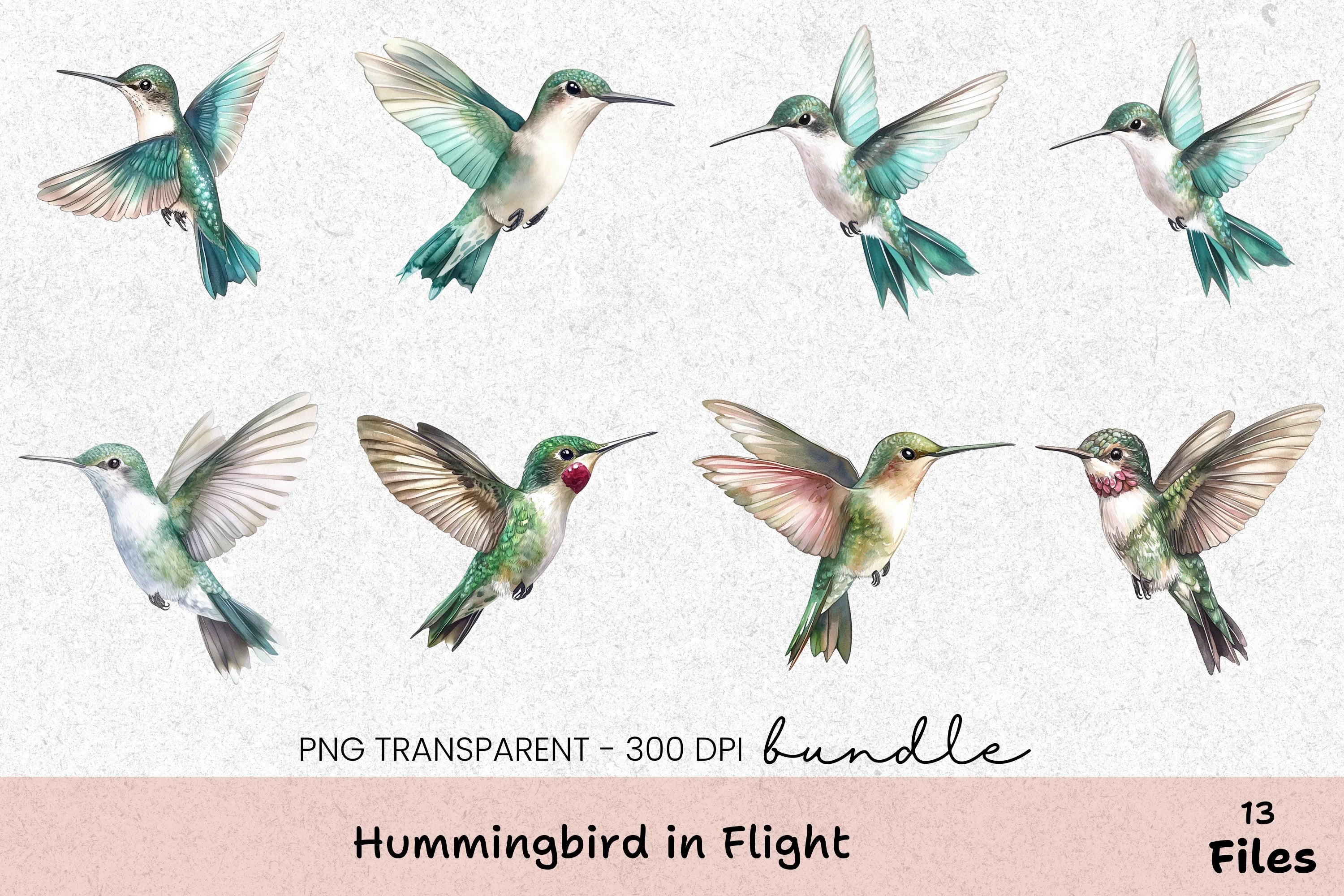 Hummingbird In Flight Clipart Bundle - CraftNest - Digital Crafting and Art