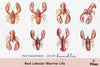 Red Lobster Marine Life Clipart Bundle