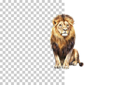 Lion Splatter Clipart Bundle - CraftNest - Digital Crafting and Art