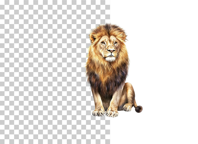 Lion Splatter Clipart Bundle - CraftNest - Digital Crafting and Art