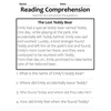 The Lost Teddy Bear Reading Comprehension Worksheet