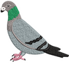 Pigeon Embroidery Design
