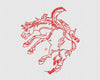 Horse Embroidery Design