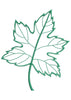 Maple Leaf Embroidery Design