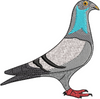 Pigeon Embroidery Design