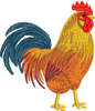 Cock Embroidery Design