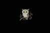 Cute Owl Embroidery Design