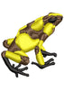 Alpha Frog Beauty Colour Embroidery Design