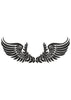 Feathers Embroidery Design