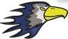 Eagle Face Embroidery Design