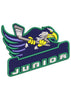 Junior Eagle Embroidery Design
