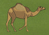 Camel Walk Brown Embroidery Design