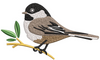 Sparrow Embroidery Design