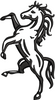 Horse Embroidery Design
