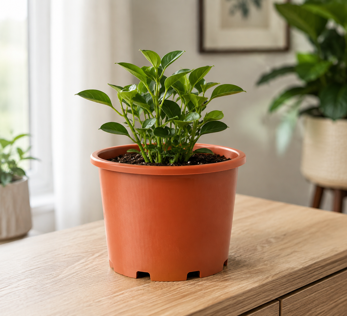 Inner Pot Square Hole Pattern Print STL File