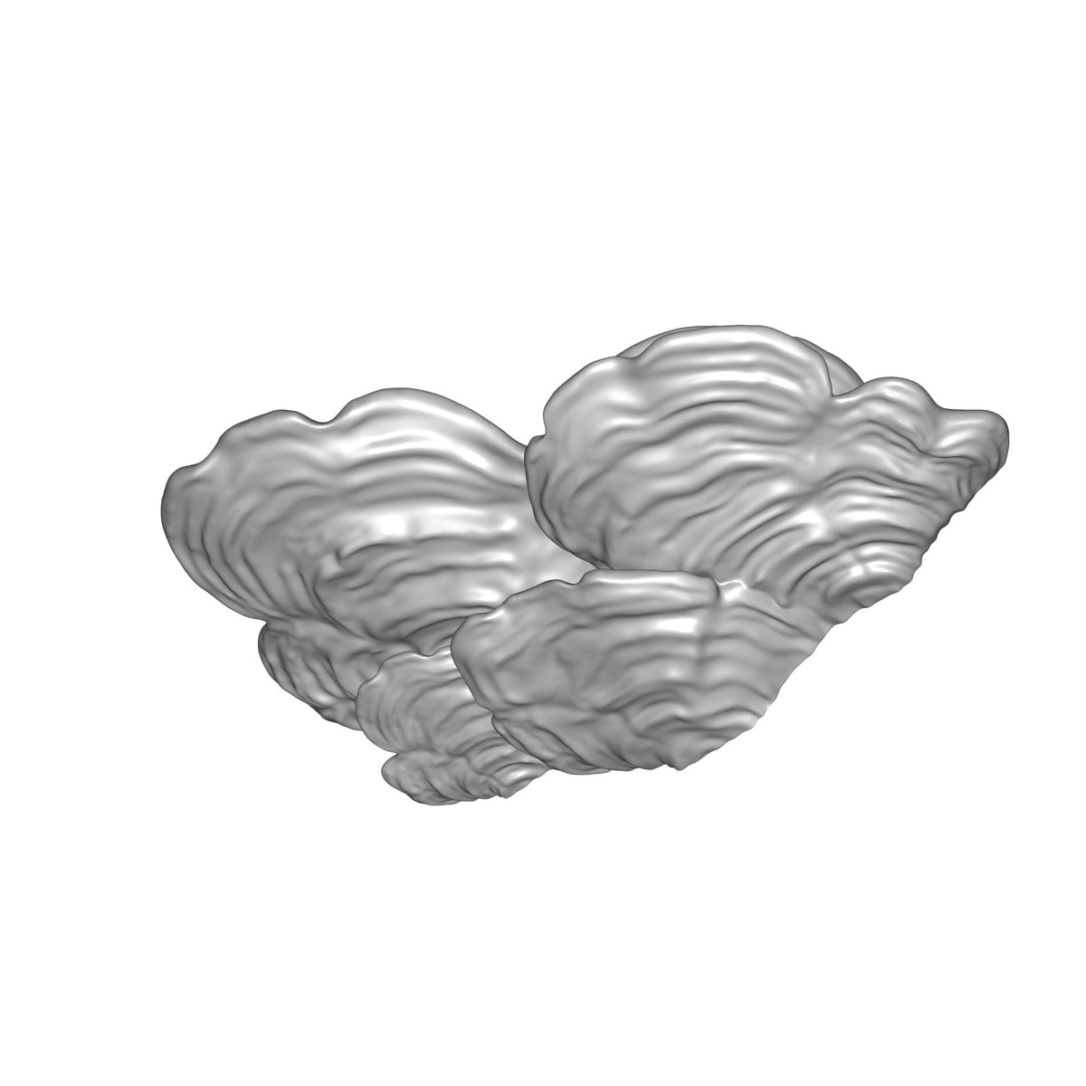 Oyster Mushroom Wall Shelf Print STL File