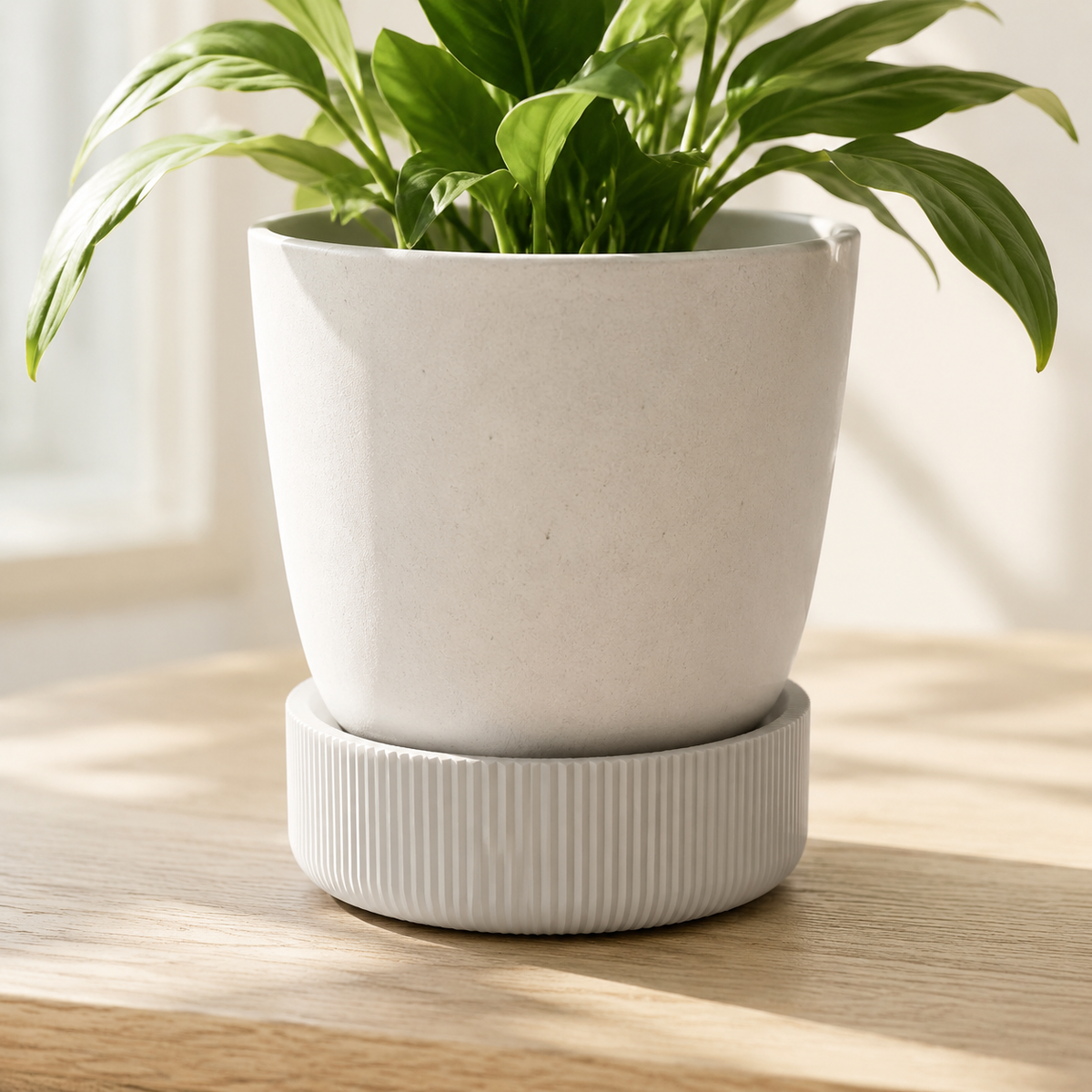 Planter Saucer Print STL File