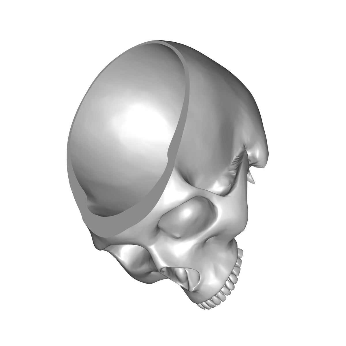 Decorative Skull Plate Without Jaw Print STL File