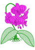 Orchid Embroidery Design