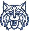Wildcat Embroidery Design