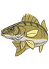 Fish Round Embroidery Design