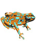 Qota Frog Beauty Colour Embroidery Design