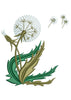 Flower Embroidery Design