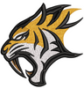 Tiger Face Embroidery Design