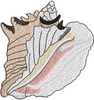 Queen Shell Embroidery Design