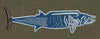 Barracuda Blue & White Embroidery Design
