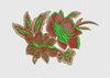 Flower Embroidery Design