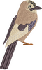 Sparrow Embroidery Design