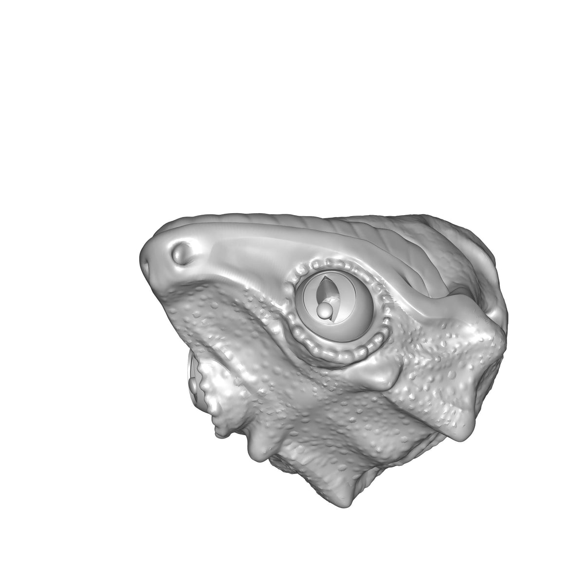 Gargoyle Gecko Figurine Print STL File