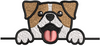 Dog Face Embroidery Design