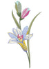 Flower Dasta Embroidery Design