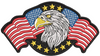 Eagle With Flag Embroidery Design