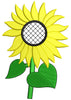 Sun Flower Embroidery Design