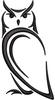 Owl Embroidery Design
