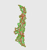 Flower Embroidery Design