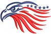 Eagle Face Embroidery Design