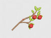 Apple Embroidery Design