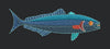 Blue Fish Embroidery Design