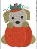 Cartoon Embroidery Design