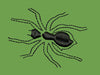 Black Spider Embroidery Design
