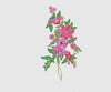 Flower Embroidery Design