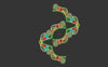 Flower Embroidery Design