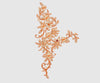 Flower Embroidery Design