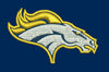 Horse Head Yellow & White Colour Embroidery Design