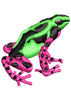 Sui Frog Beauty Colour Embroidery Design