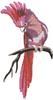 Parrot Embroidery Design